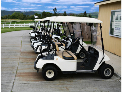 boggy golf cart using RFID card